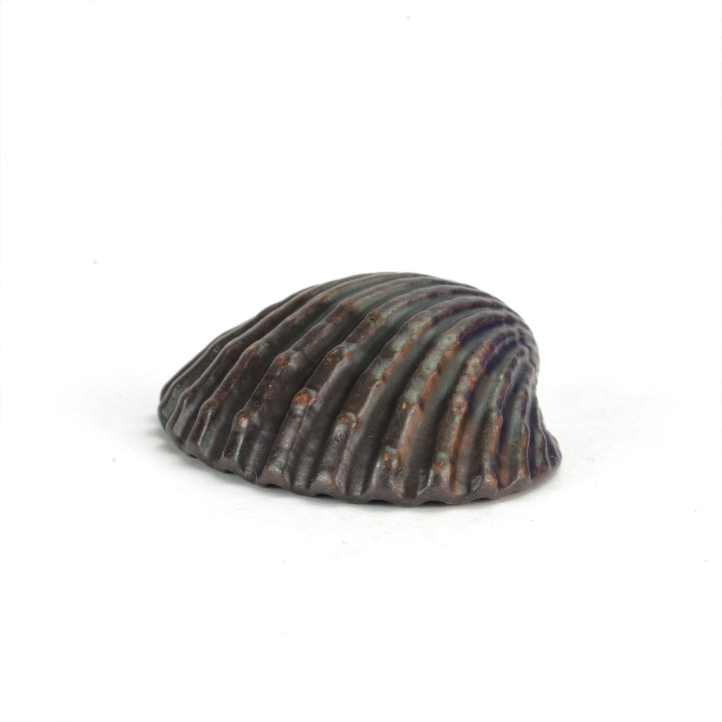 Clam Shell