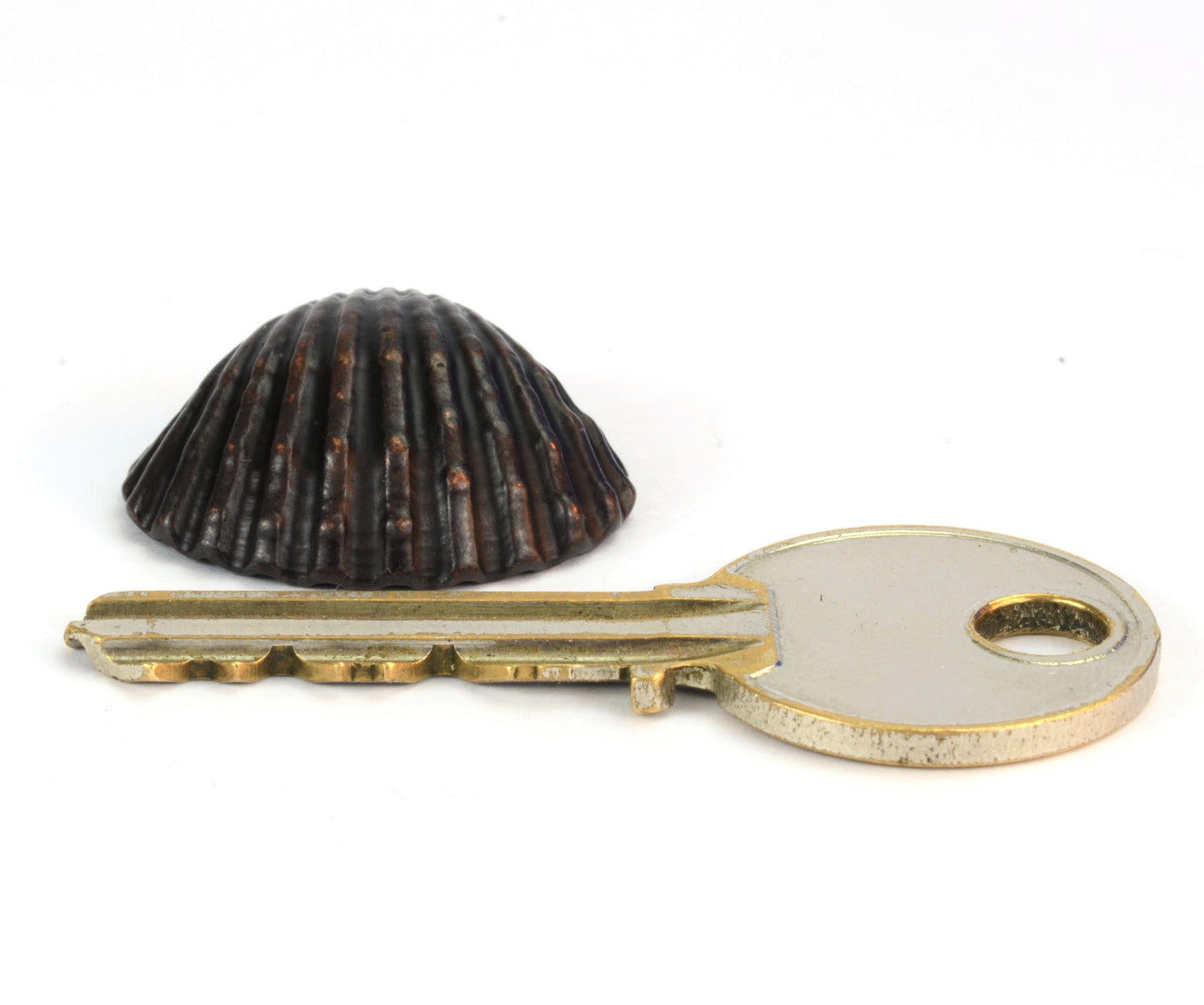 Clam Shell
