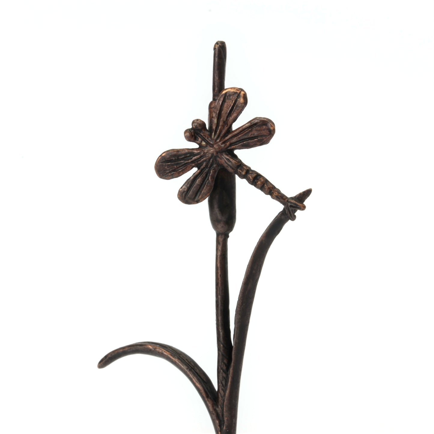 Dragonfly on Reed