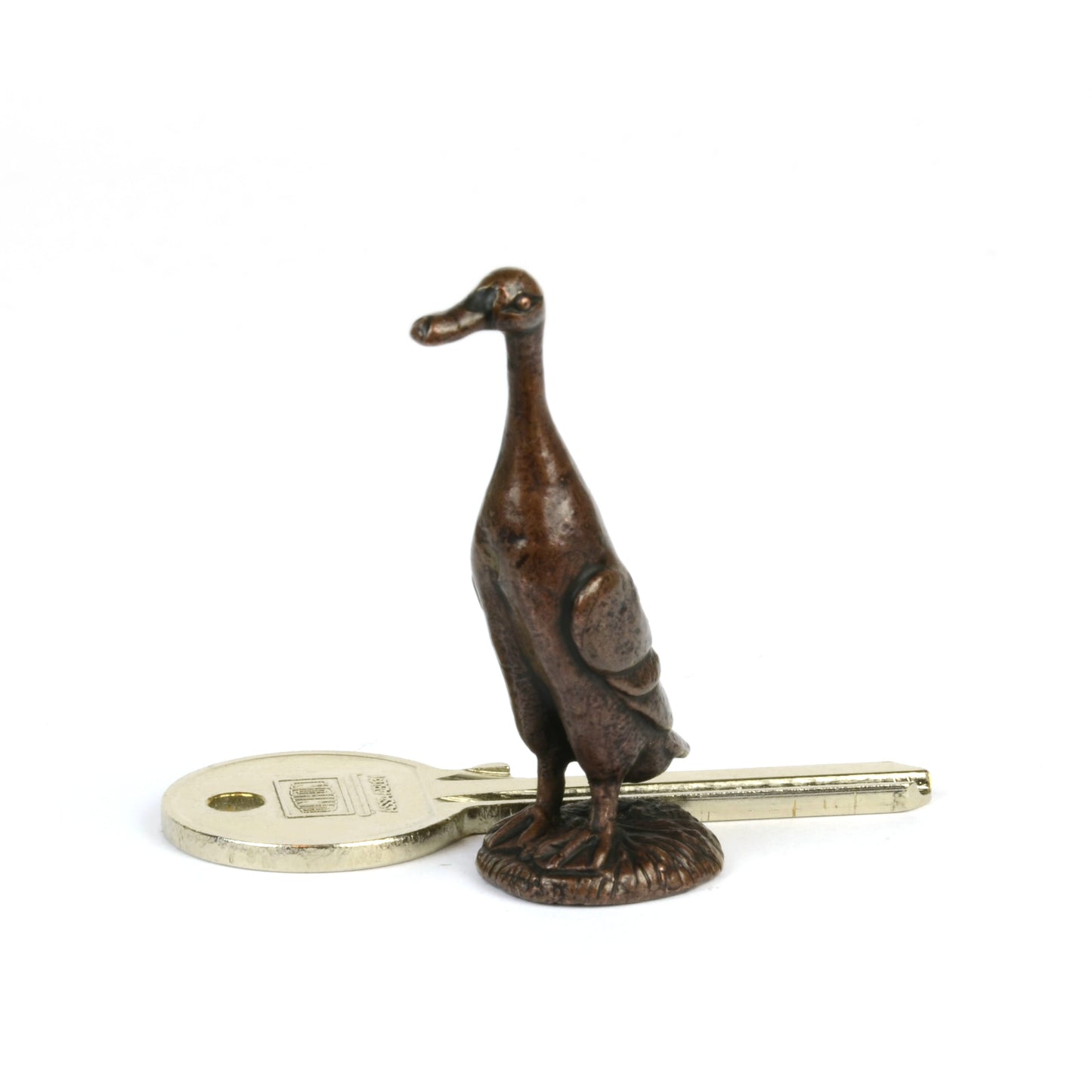 Runner Duck