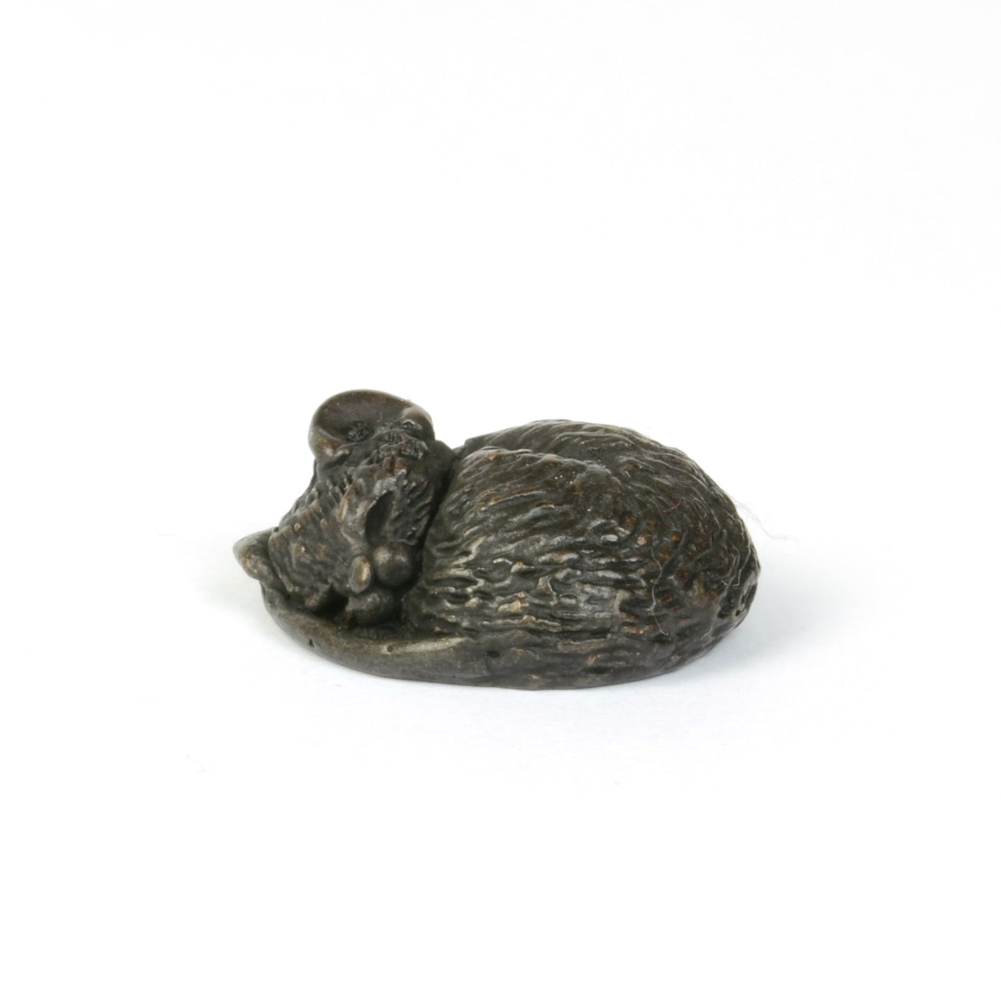 Tiny Sleeping Mouse