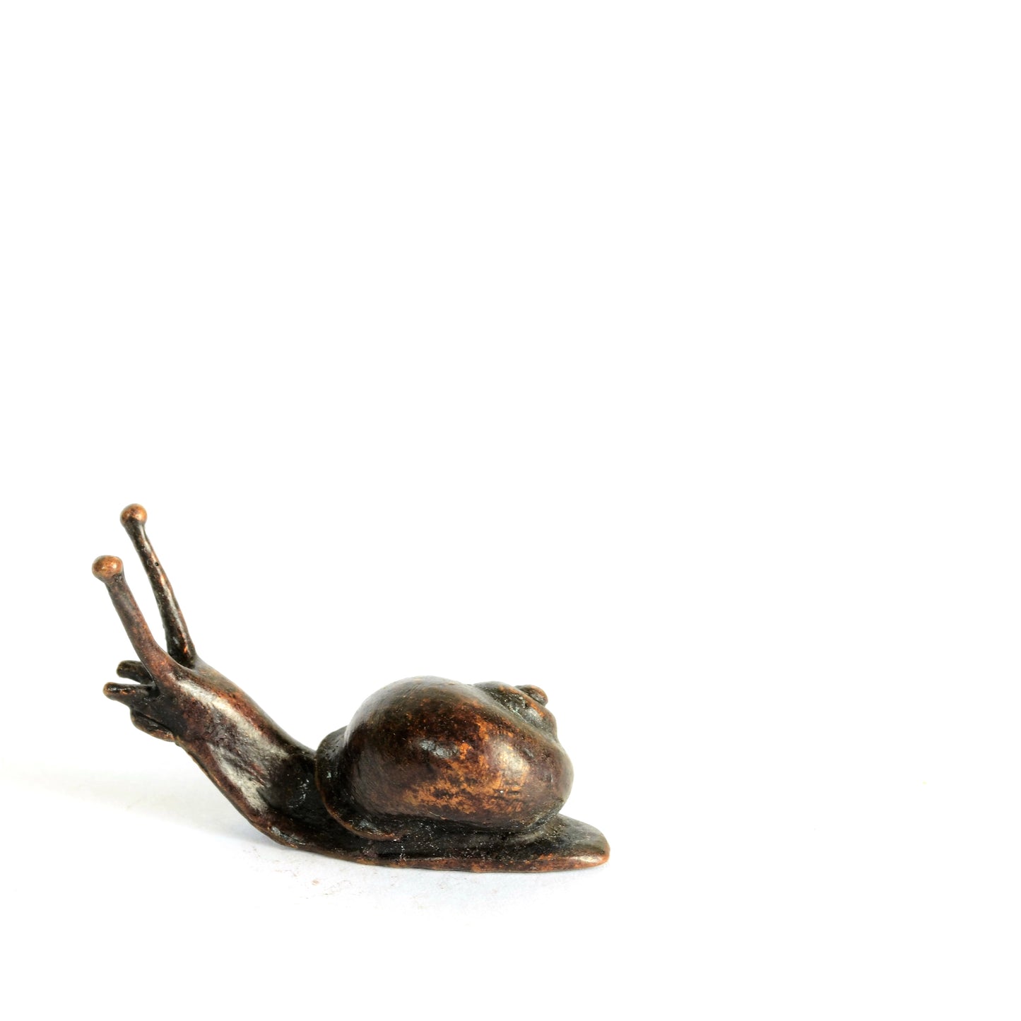 Baby Snail