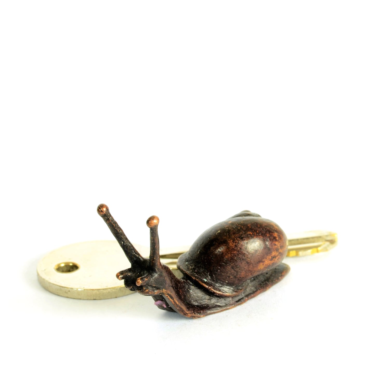 Baby Snail