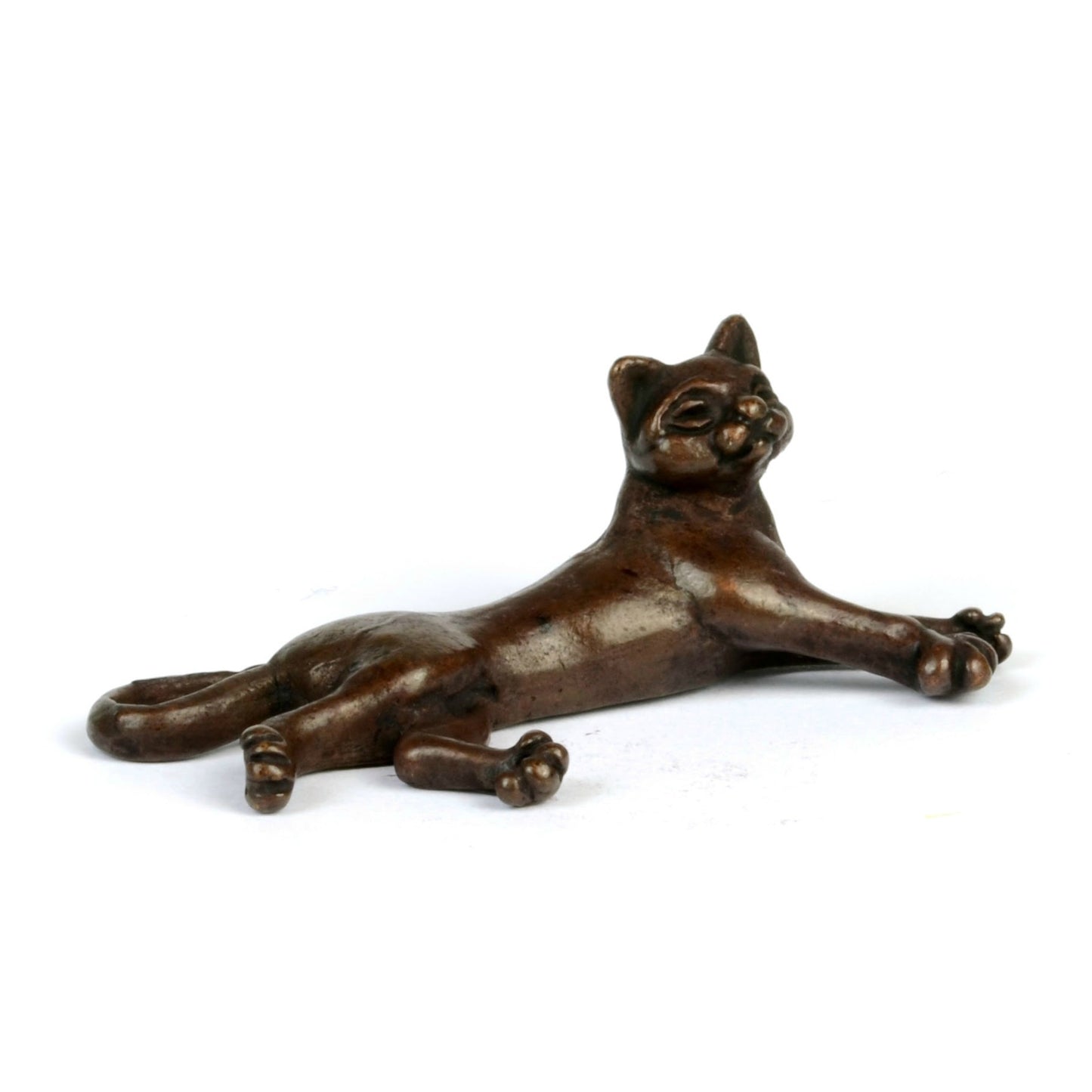 Lying Cat
