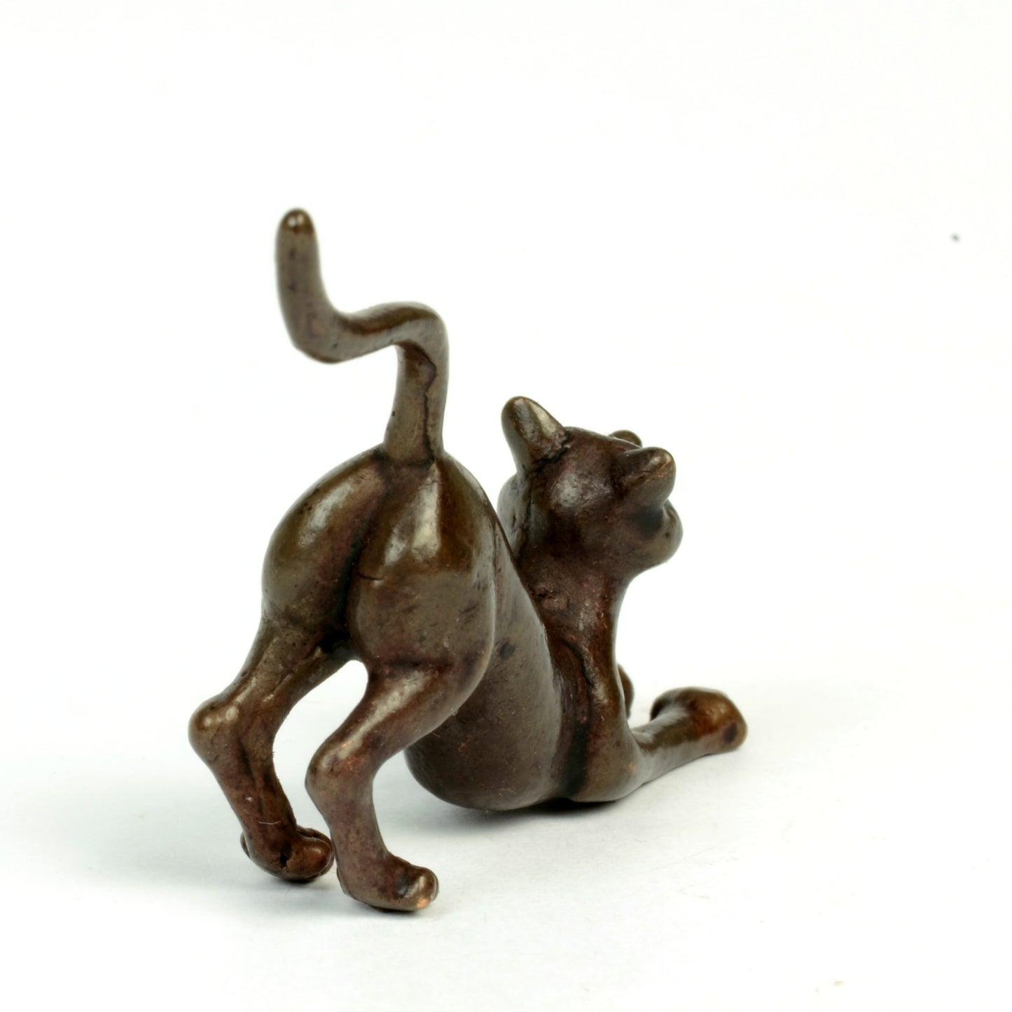 Crouching Cat