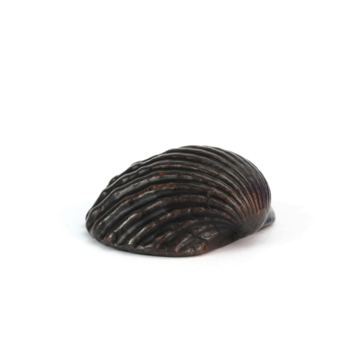 Clam Shell