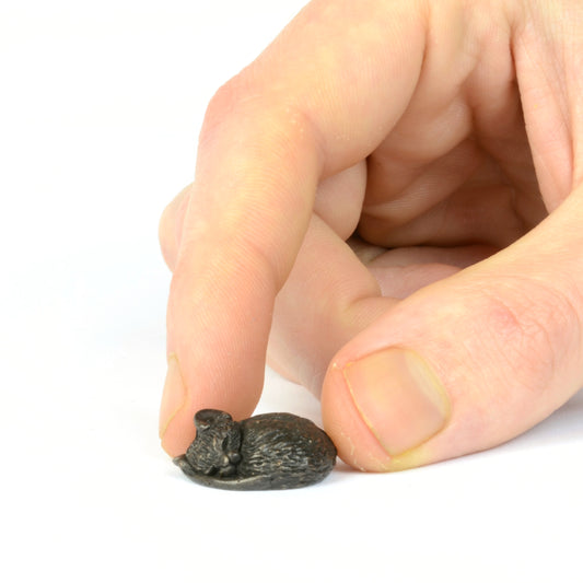 Tiny Sleeping Mouse