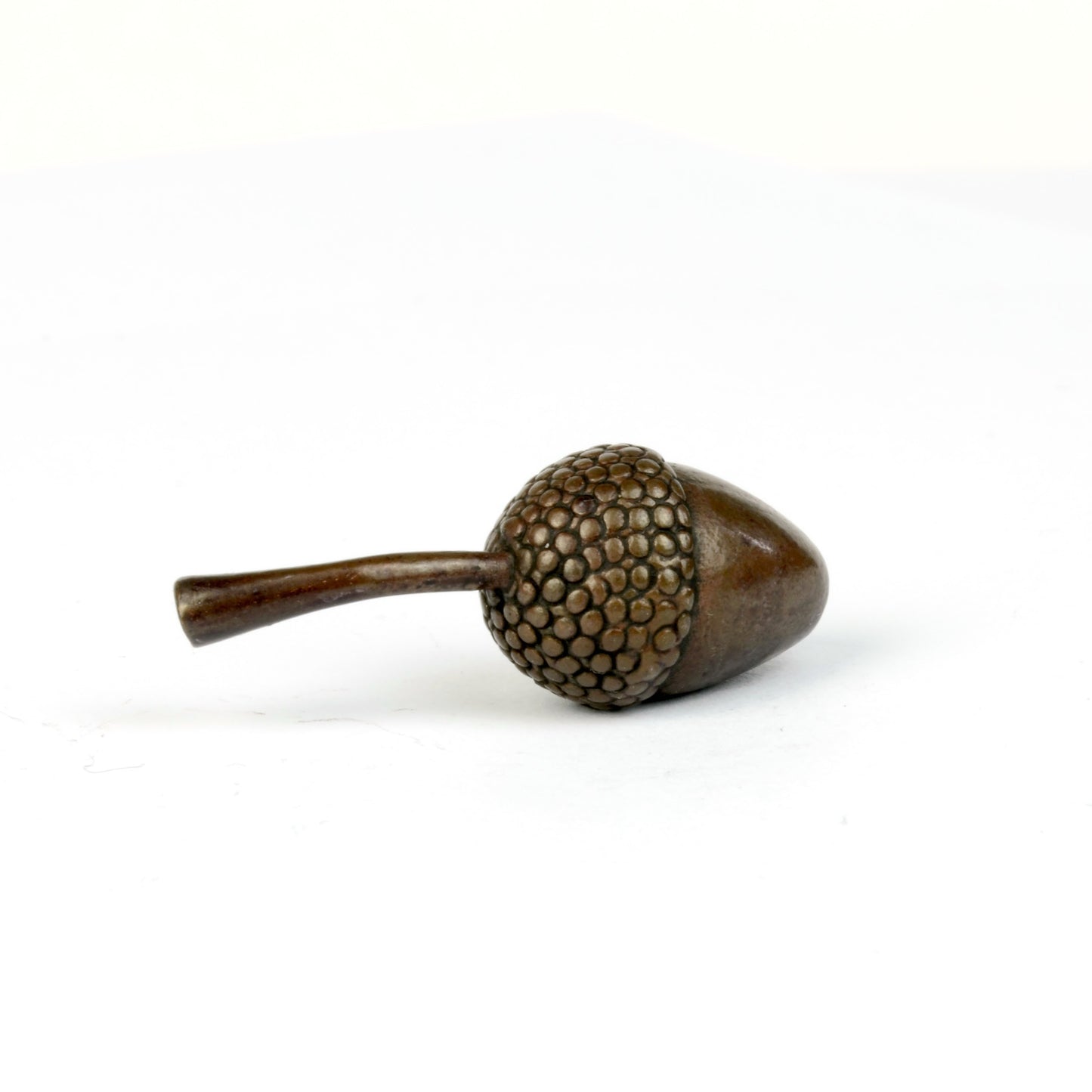 Acorn