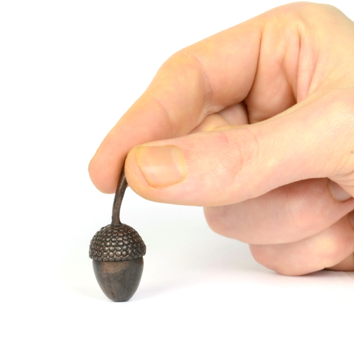 Acorn