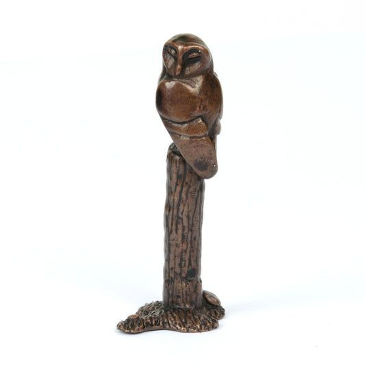 Barn Owl on Tree Stump