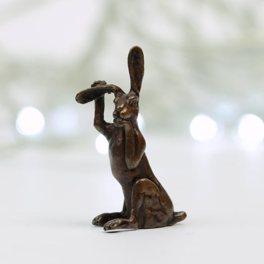 Cleaning Hare