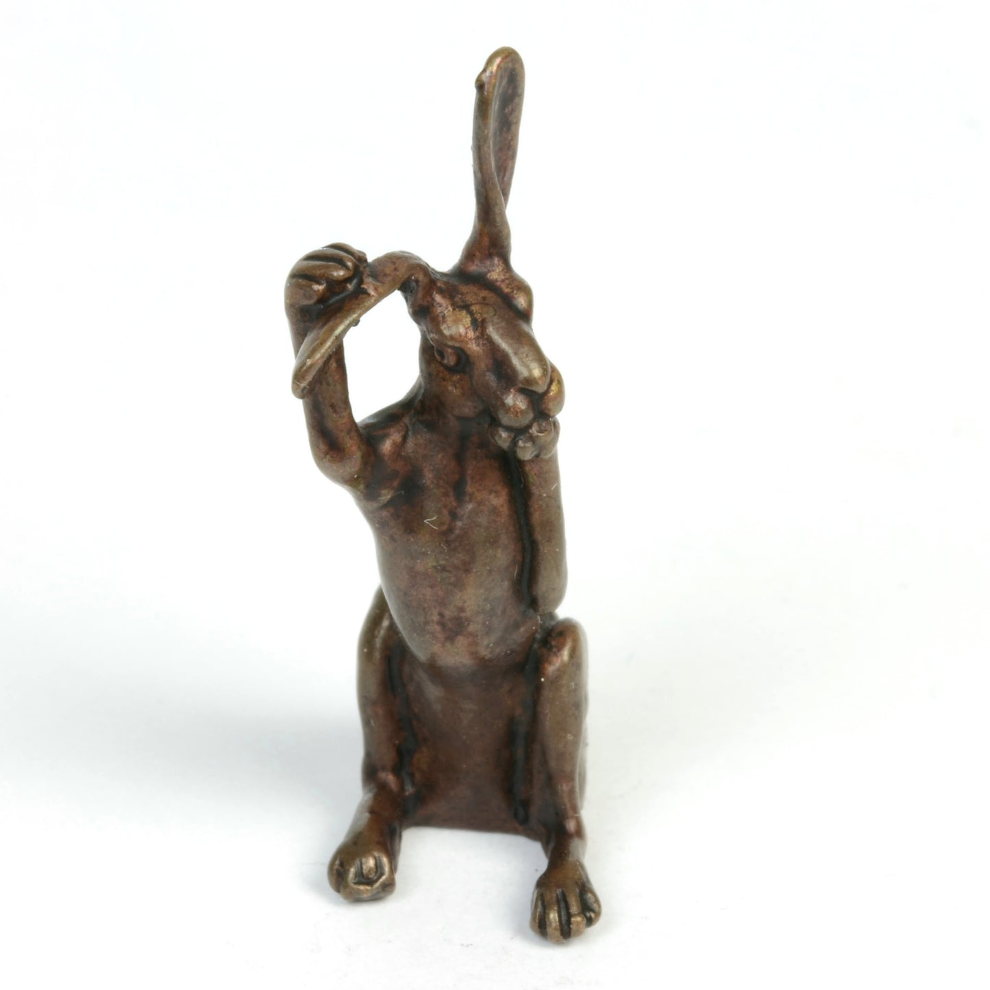 Cleaning Hare