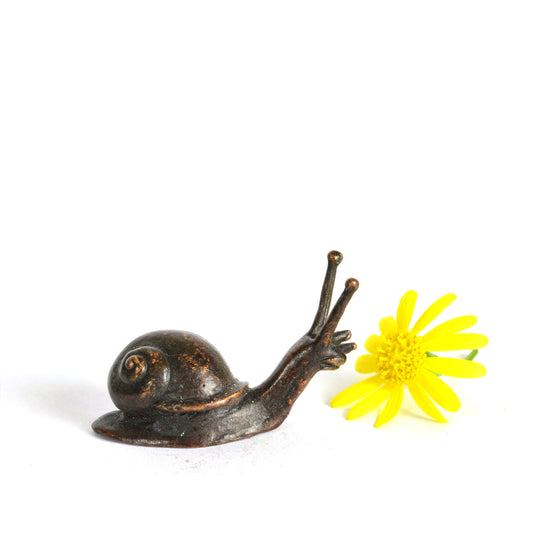 Baby Snail