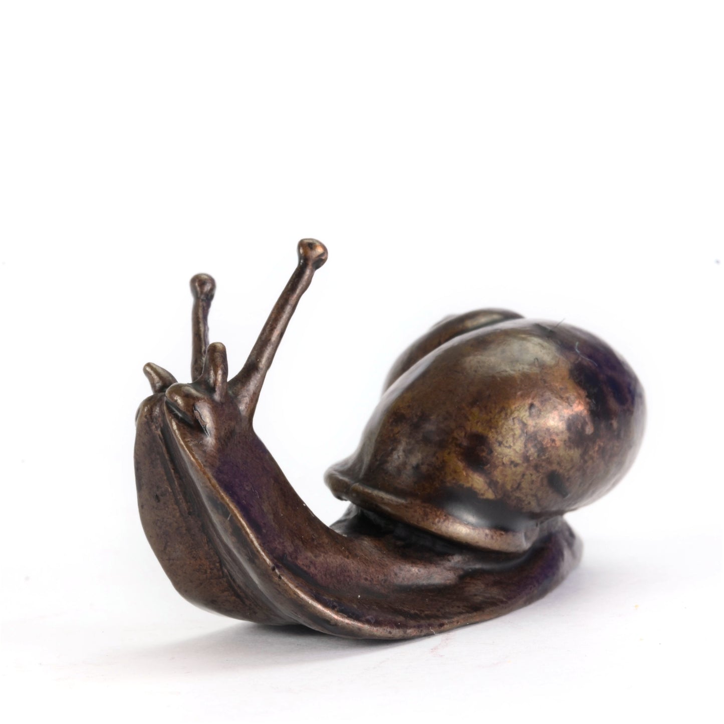 Big Snail