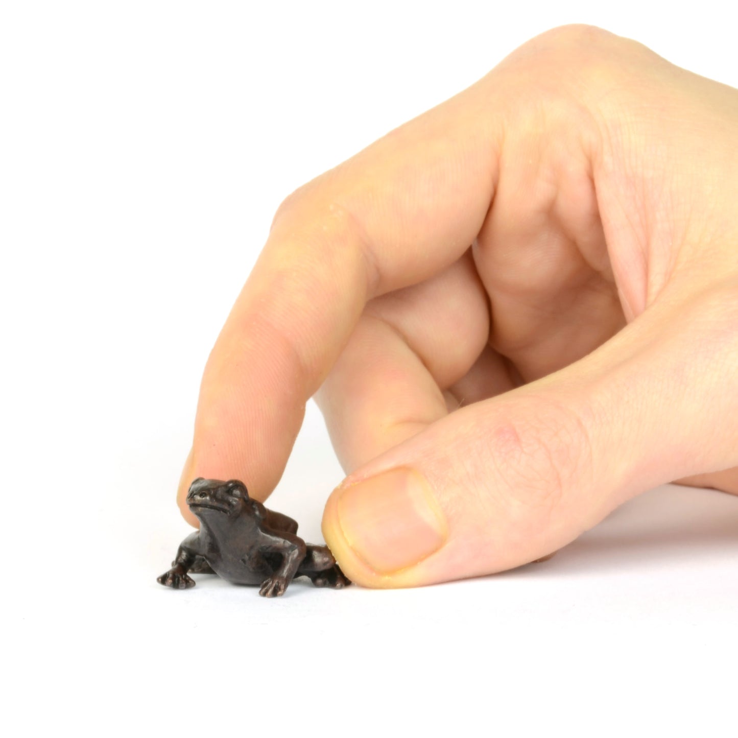 Little Frog