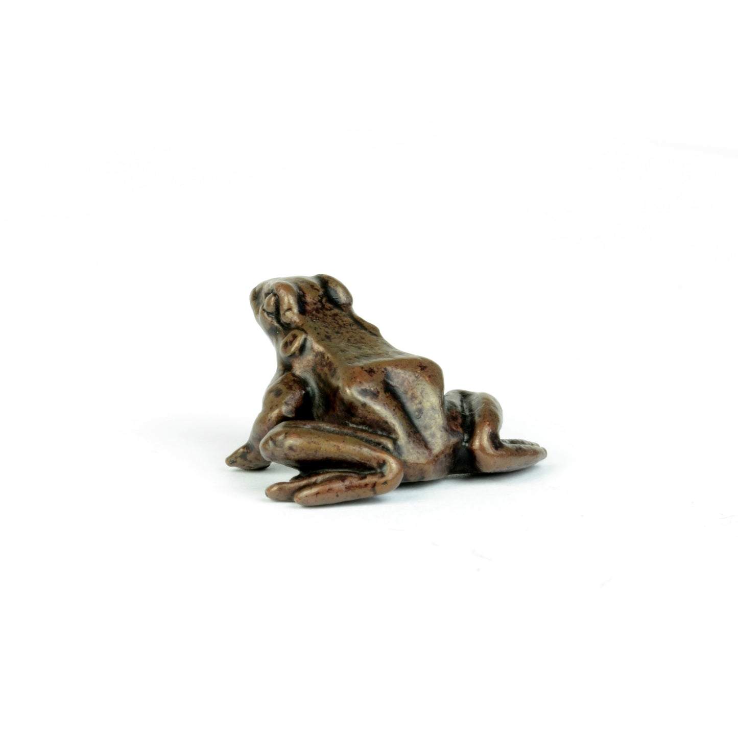 Little Frog
