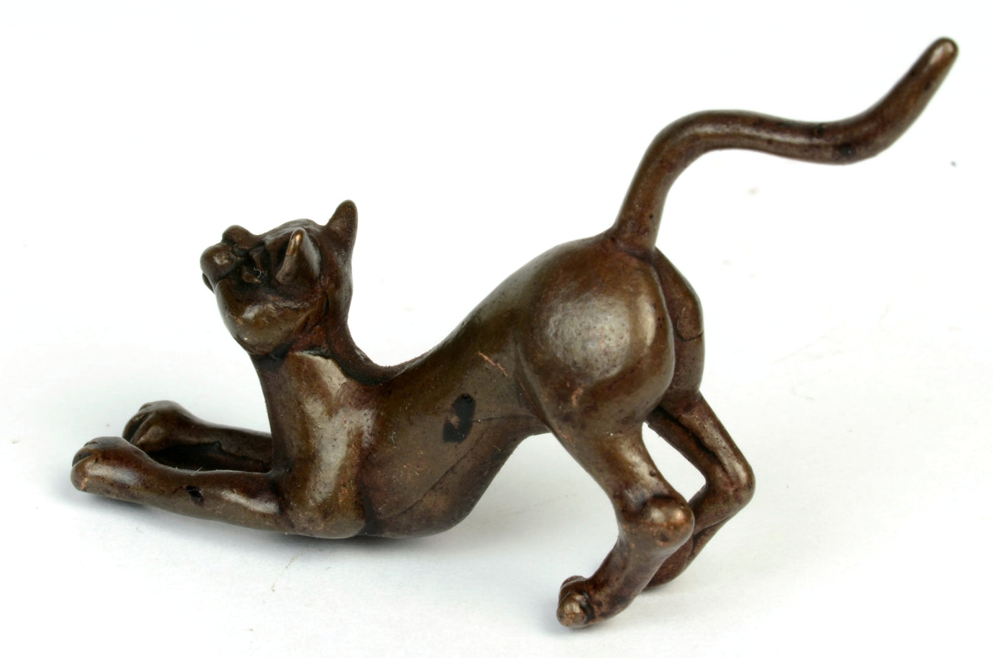Crouching Cat
