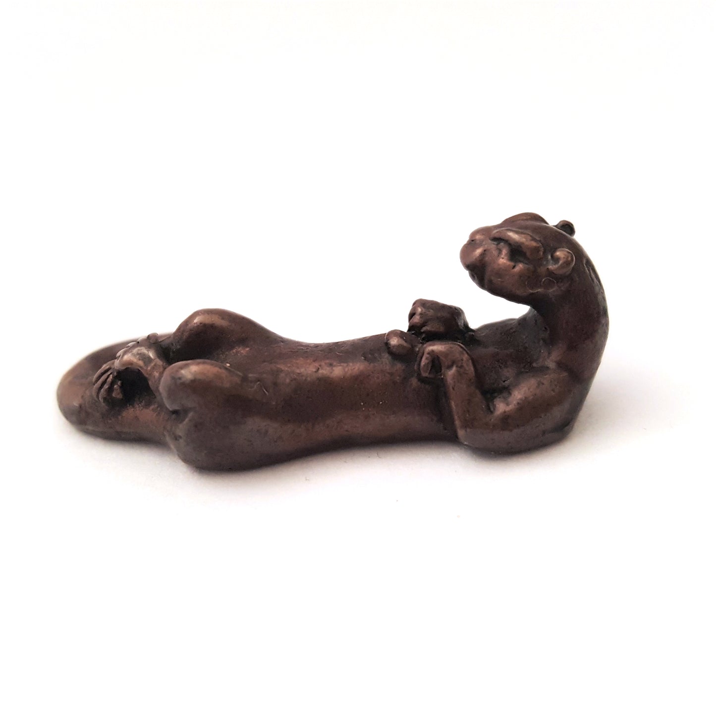 Otter Swimming on Back