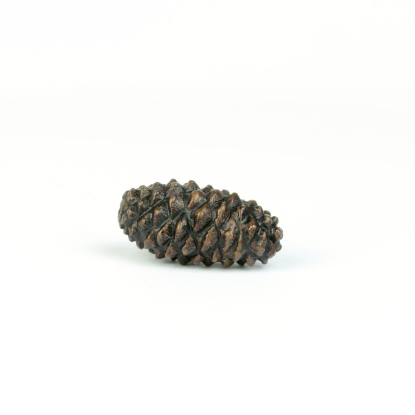 Pine Cone