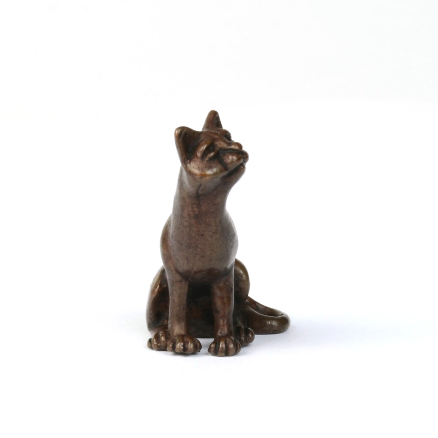 Sitting Cat