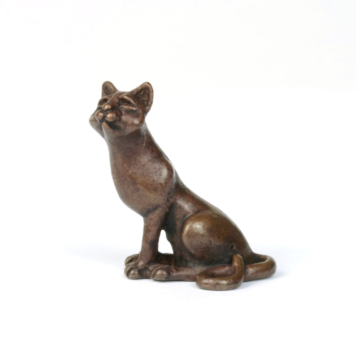 Sitting Cat