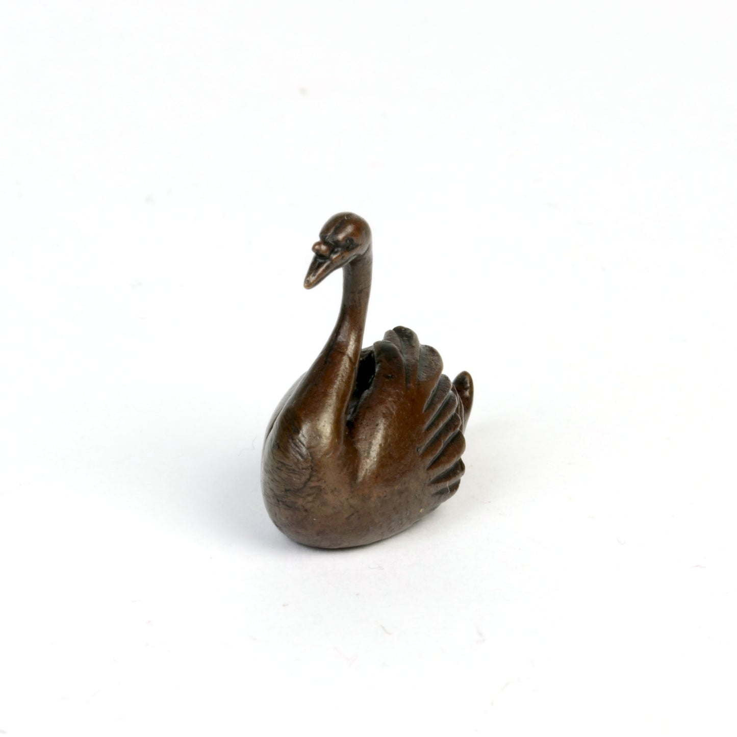 Swan