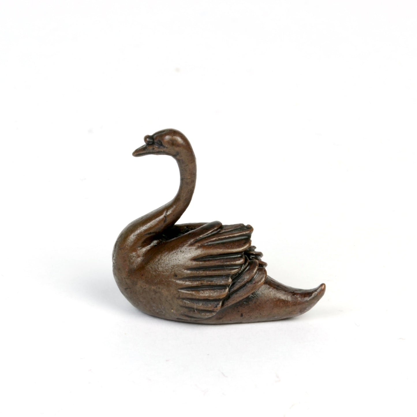 Swan