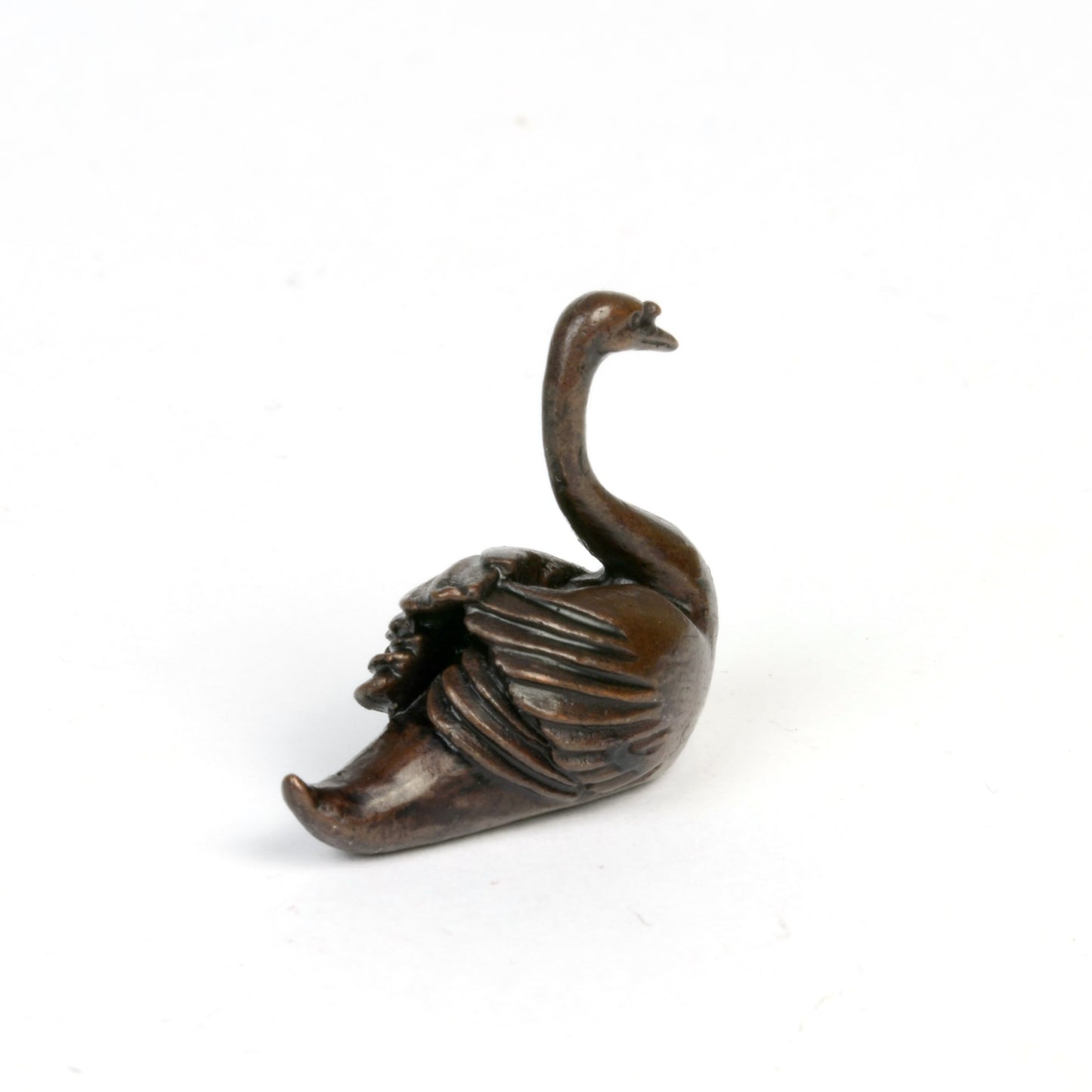 Swan