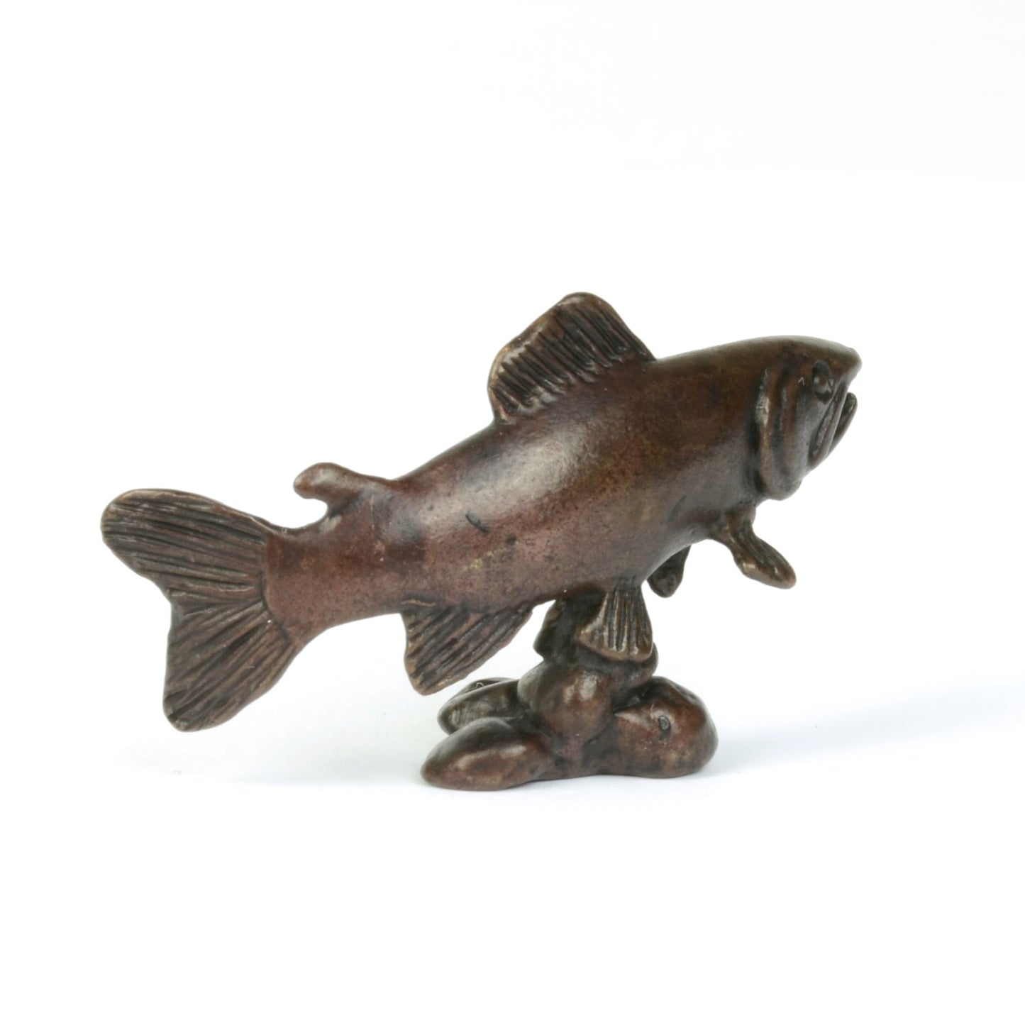Swimming Salmon