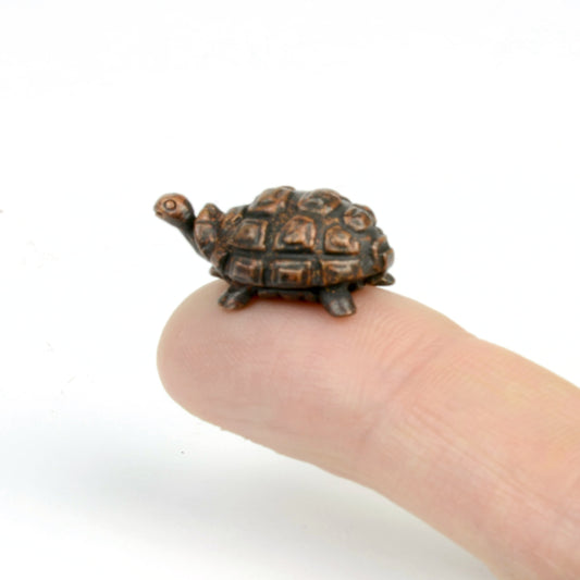 Tortoise